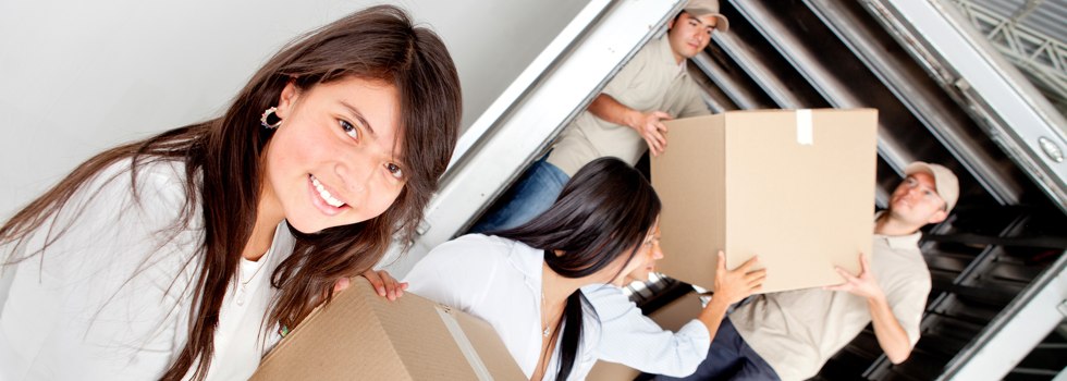 Professional Removalists Dingley Village